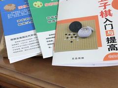-真朴儿童围棋教室(东城校区)