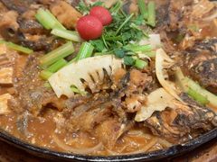 -老板恋上鱼(恒隆广场店)