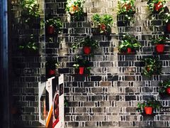 -新梅华(太仓万达店)