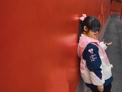 -峨眉山报国寺