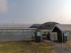 -嘉北郊野公园