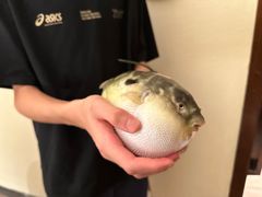 -永安鱼庄·镇江菜(东吴路店)