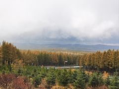 -塞罕坝国家级自然保护区