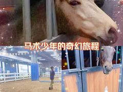 -骑乐马术(广州奥体优托邦中心)