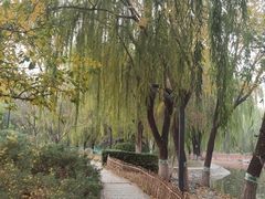 -丰台科技园生态主题公园