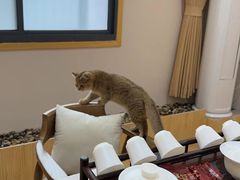 -天福棋牌(田林店)