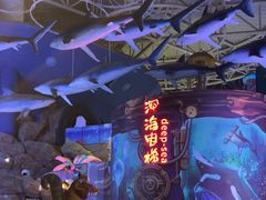 -烟台海昌鲸鲨海洋公园