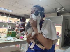 -lincat·猫舍(广州店)