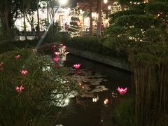 -河内西湖莲花自助餐厅