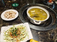 -先机泉水鸡汤(南山老君洞店)