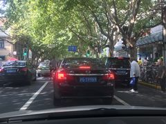 -上海交通大学医学院附属瑞金医院(总院)