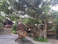 -海南槟榔谷黎苗文化旅游区