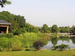 -蠡湖大桥公园
