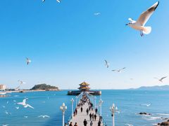 -青岛海滨风景区