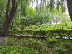 -百脉泉景区