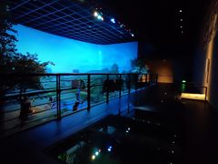 -上海崧泽遗址博物馆