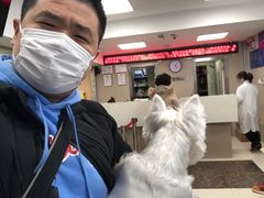 -申普宠物医院·心脏介入·心血管微创(总院)