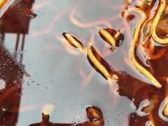 -十八梯眼镜面(五红路店)