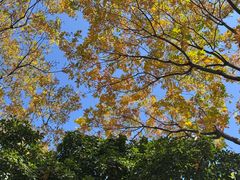 -浙江农林大学(东湖校区)