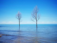 -青海湖国家重点风景名胜区