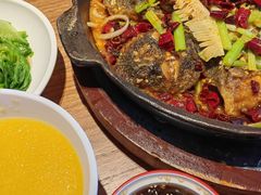 -老板恋上鱼(恒隆广场店)