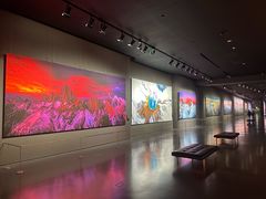 -罗红摄影艺术馆