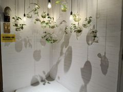 -格桑花开药膳蔬食文化空间