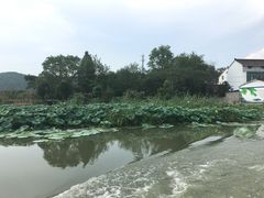 -长田漾湿地公园