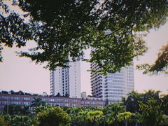 -东风公园