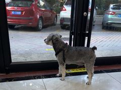 -安安宠医宠物医院·异宠·犬猫内科(岳阳分院)