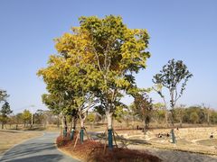 -盘龙城国家考古遗址公园