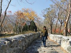 -阳台山自然风景区