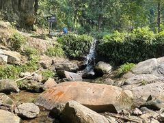 -素山寺森林公园