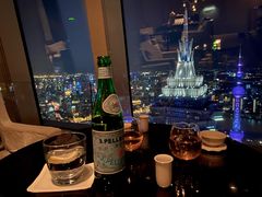 -The lounge 柏悦酒店大堂酒廊(上海环球金融中心店)