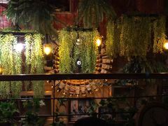 -胡桃里音乐酒馆(四道口店)