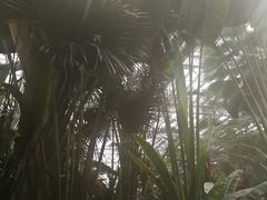 -龙达温泉生态城