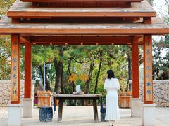-东海森林温泉度假酒店