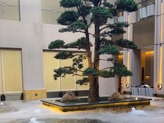 -外滩·云南人家(昆明旗舰店)