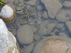 -白河湾山水缘民宿