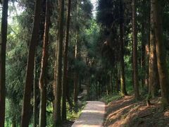 -青城山