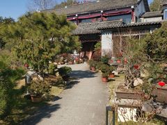 -万景茶庄·台州菜
