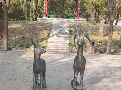 -河北省园博园