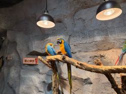 -Zoolung Zoolung动物主题公园(海信广场店)