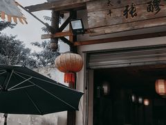-张醪糟