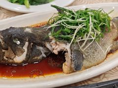 -湛江渔港·大排档(乐园路总店)