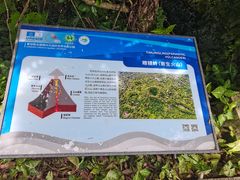 -海口火山口国家地质公园