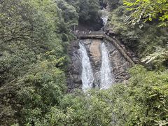 -广州白江湖森林公园