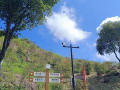 -玉苍山国家森林公园