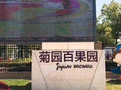 -菊园百果园