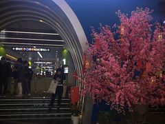 -保利国际影城(保利文化广场店)